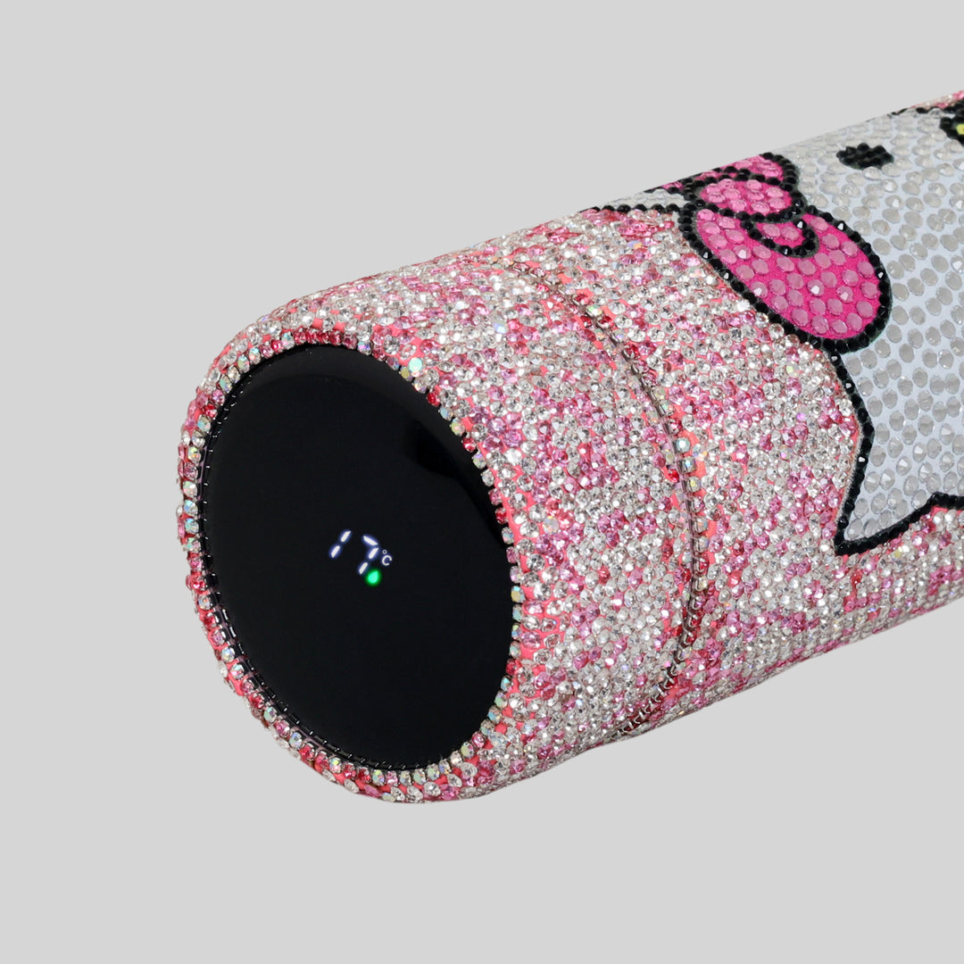 Caty Perry Stainless Steel Bottle